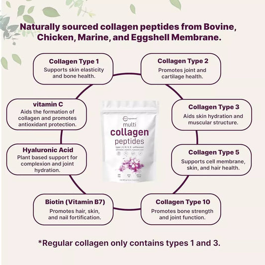 multi collagene peptides